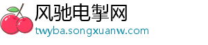 风驰电掣网